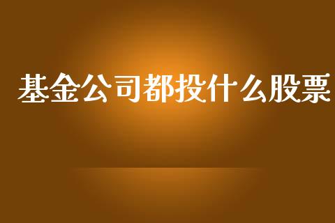 基金公司都投什么股票_https://www.lansai.wang_期货资讯_第1张