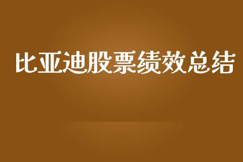 比亚迪股票绩效总结_https://www.lansai.wang_股票知识_第1张