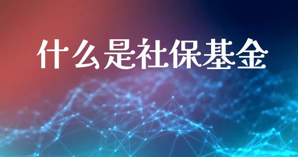 什么是社保基金_https://www.lansai.wang_基金理财_第1张