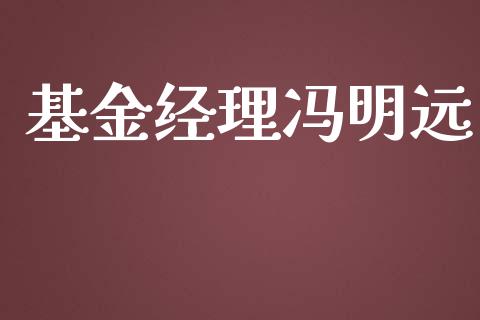 基金经理冯明远_https://www.lansai.wang_基金理财_第1张