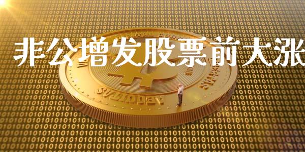 非公增发股票前大涨_https://www.lansai.wang_恒生指数_第1张