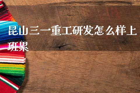 昆山三一重工研发怎么样上班累_https://www.lansai.wang_股票问答_第1张