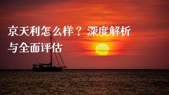 京天利怎么样？ 深度解析与全面评估_https://www.lansai.wang_股票知识_第1张