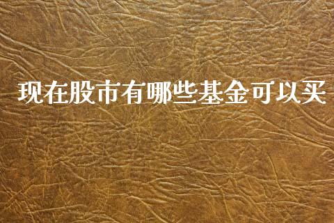 现在股市有哪些基金可以买_https://www.lansai.wang_基金理财_第1张