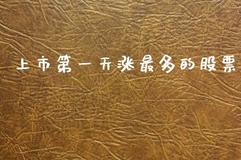 上市第一天涨最多的股票_https://www.lansai.wang_基金理财_第1张