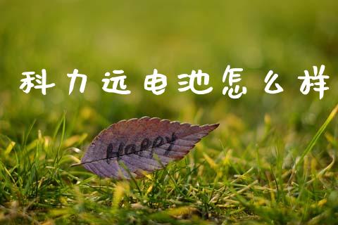 科力远电池怎么样_https://www.lansai.wang_恒生指数_第1张