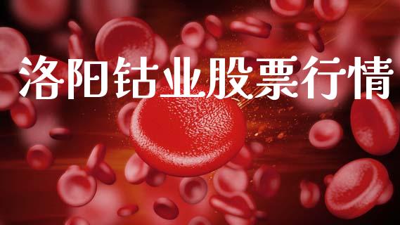 洛阳钴业股票行情_https://www.lansai.wang_股票知识_第1张