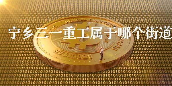 宁乡三一重工属于哪个街道_https://www.lansai.wang_股票问答_第1张