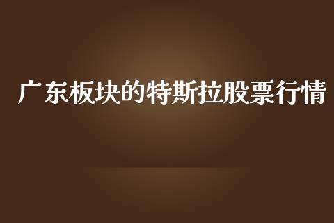 广东板块的特斯拉股票行情_https://www.lansai.wang_股票知识_第1张