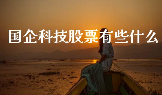 国企科技股票有些什么_https://www.lansai.wang_期货行情_第1张