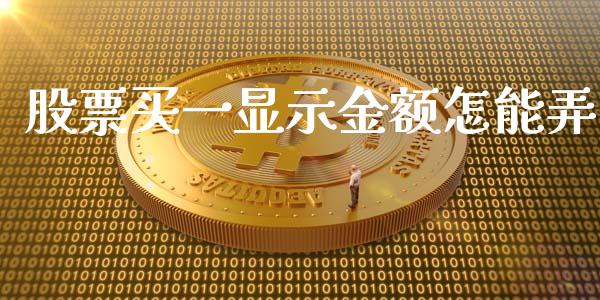 股票买一显示金额怎能弄_https://www.lansai.wang_期货行情_第1张