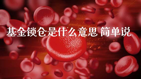 基金锁仓是什么意思 简单说_https://www.lansai.wang_理财百科_第1张