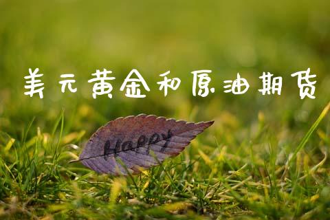 美元黄金和原油期货_https://www.lansai.wang_期货行情_第1张
