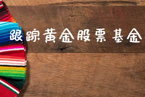 跟踪黄金股票基金_https://www.lansai.wang_期货行情_第1张