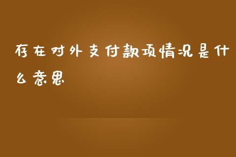 存在对外支付款项情况是什么意思_https://www.lansai.wang_股票知识_第1张