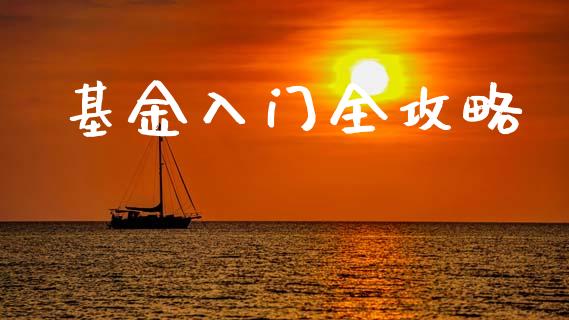 基金入门全攻略_https://www.lansai.wang_基金理财_第1张