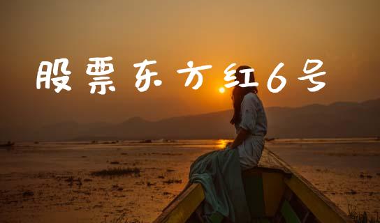 股票东方红6号_https://www.lansai.wang_基金理财_第1张