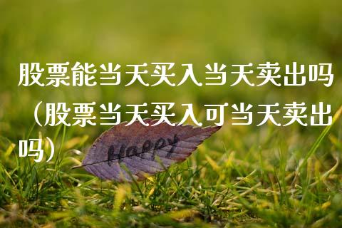 股票能当天买入当天卖出吗（股票当天买入可当天卖出吗）_https://www.lansai.wang_股票知识_第1张