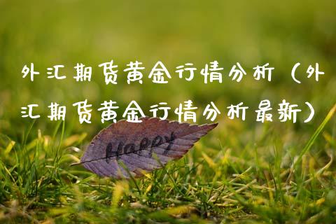 外汇期货黄金行情分析（外汇期货黄金行情分析最新）_https://www.lansai.wang_期货资讯_第1张