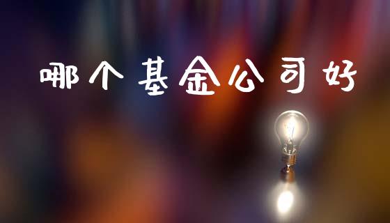 哪个基金公司好_https://www.lansai.wang_股票知识_第1张