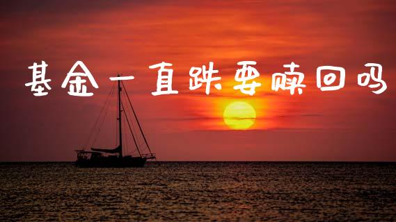 基金一直跌要赎回吗_https://www.lansai.wang_基金理财_第1张