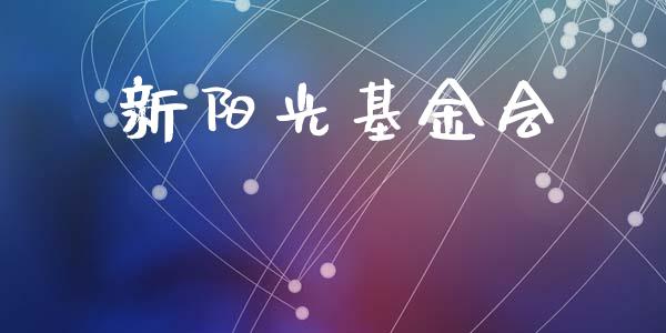 新阳光基金会_https://www.lansai.wang_基金理财_第1张