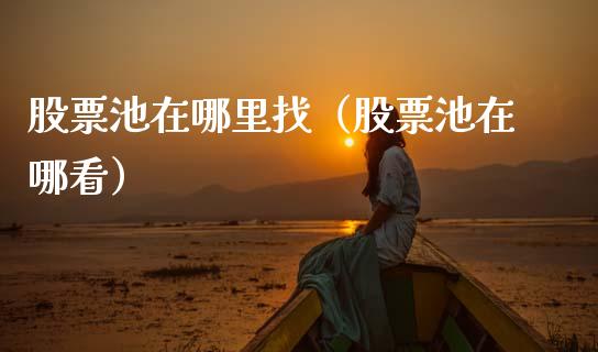股票池在哪里找（股票池在哪看）_https://www.lansai.wang_股票问答_第1张