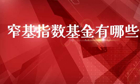 窄基指数基金有哪些_https://www.lansai.wang_基金理财_第1张