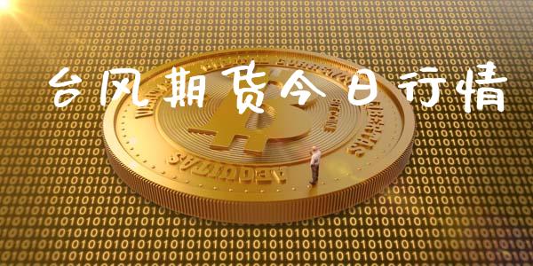 台风期货今日行情_https://www.lansai.wang_期货品种_第1张