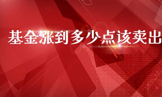 基金涨到多少点该卖出_https://www.lansai.wang_未分类_第1张