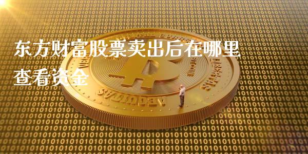 东方财富股票卖出后在哪里查看资金_https://www.lansai.wang_期货行情_第1张
