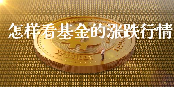 怎样看基金的涨跌行情_https://www.lansai.wang_基金理财_第1张