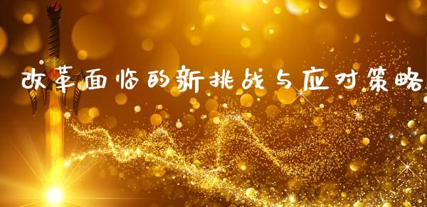 改革面临的新挑战与应对策略_https://www.lansai.wang_期货品种_第1张