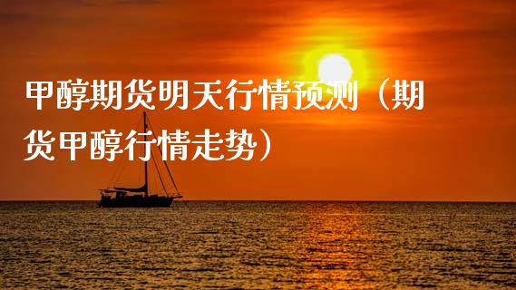 甲醇期货明天行情预测（期货甲醇行情走势）_https://www.lansai.wang_期货资讯_第1张