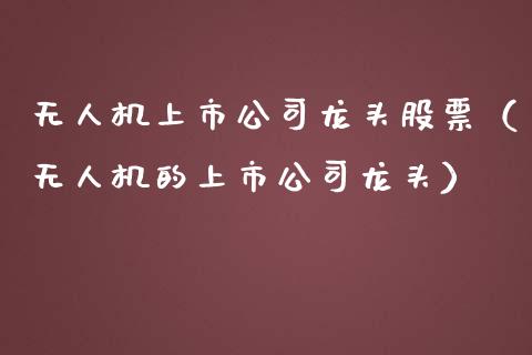无人机上市公司龙头股票（无人机的上市公司龙头）_https://www.lansai.wang_股票知识_第1张