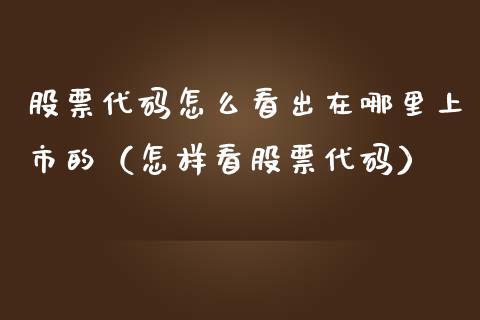 股票代码怎么看出在哪里上市的（怎样看股票代码）_https://www.lansai.wang_股票问答_第1张