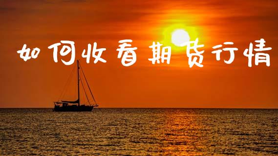 如何收看期货行情_https://www.lansai.wang_恒生指数_第1张