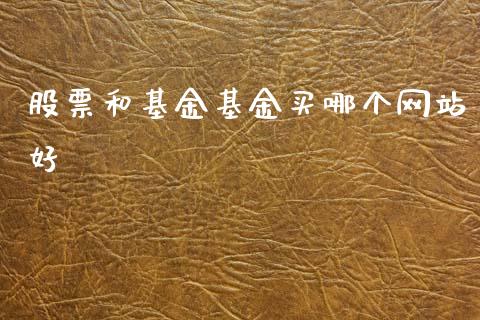 股票和基金基金买哪个网站好_https://www.lansai.wang_期货行情_第1张
