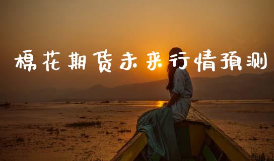 棉花期货未来行情预测_https://www.lansai.wang_恒生指数_第1张