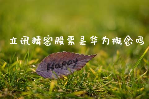 立讯精密股票是华为概念吗_https://www.lansai.wang_期货行情_第1张