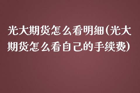 光大期货怎么看明细(光大期货怎么看自己的手续费)_https://www.lansai.wang_恒生指数_第1张