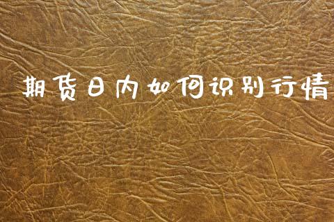 期货日内如何识别行情_https://www.lansai.wang_股指期货_第1张