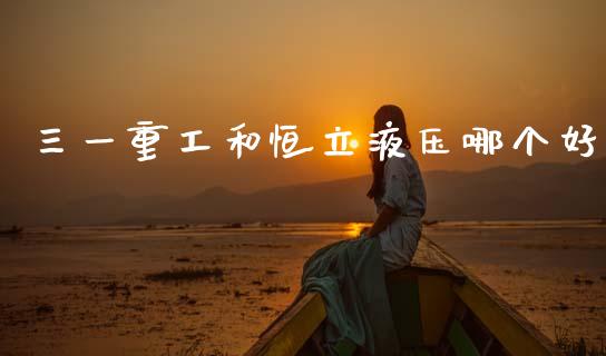 三一重工和恒立液压哪个好_https://www.lansai.wang_股票问答_第1张