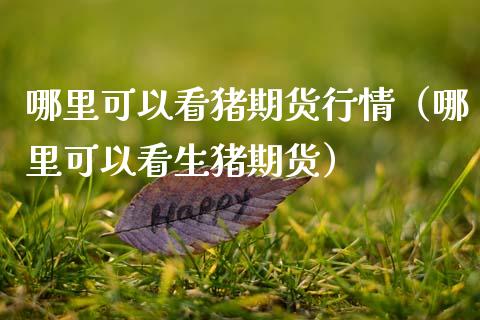 哪里可以看猪期货行情（哪里可以看生猪期货）_https://www.lansai.wang_期货资讯_第1张