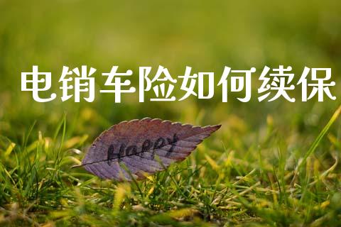 电销车险如何续保_https://www.lansai.wang_股票问答_第1张