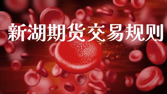 新湖期货交易规则_https://www.lansai.wang_期货行情_第1张
