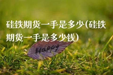 硅铁期货一手是多少(硅铁期货一手是多少钱)_https://www.lansai.wang_期货行情_第1张