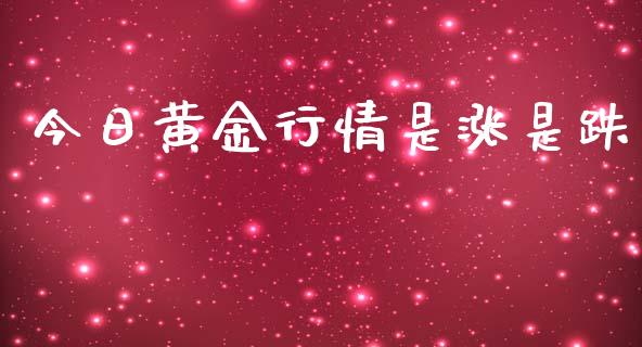 今日黄金行情是涨是跌_https://www.lansai.wang_期货资讯_第1张