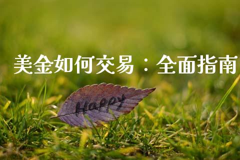 美金如何交易：全面指南_https://www.lansai.wang_股指期货_第1张