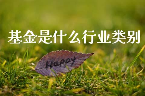 基金是什么行业类别_https://www.lansai.wang_基金理财_第1张